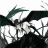 Hollow